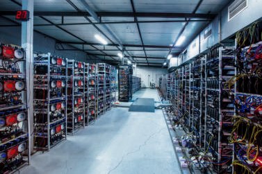 Стойки оборудования центра обработки данных майнинговой площадки